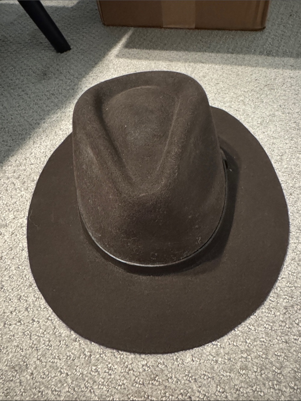 Sunday Afternoons Felt Wide Brim Fedora Hat in Dark Brown